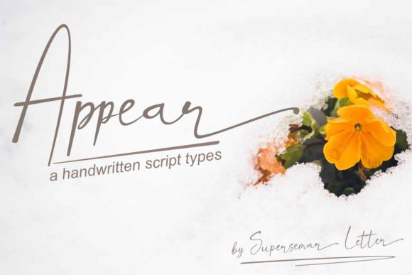 Appear: Where Calligraphic Tradition Meets Modern Polish