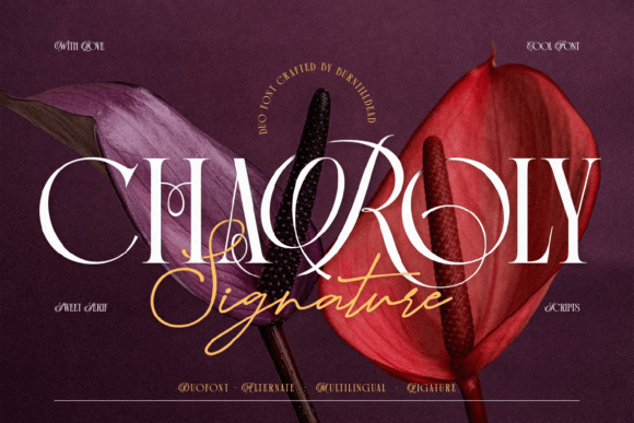 Charoly Signature: A Designer's Guide to This Elegant Font Duo