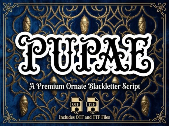 Pupae: A Display Script with a Regal Soul